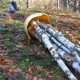 Kit d'accessoires de foresterie  PCA-FS