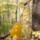 Kit d'accessoires de foresterie  PCA-FS