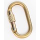 Steel Locking Carabiner - MBS: 25 kN  PCA-1276
