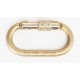 Steel Locking Carabiner - MBS: 25 kN  PCA-1276